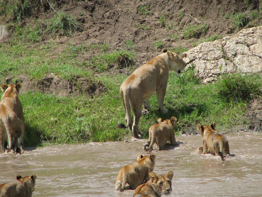 Hotel Maasai Simba Camp Amboseli Zewnętrze zdjęcie