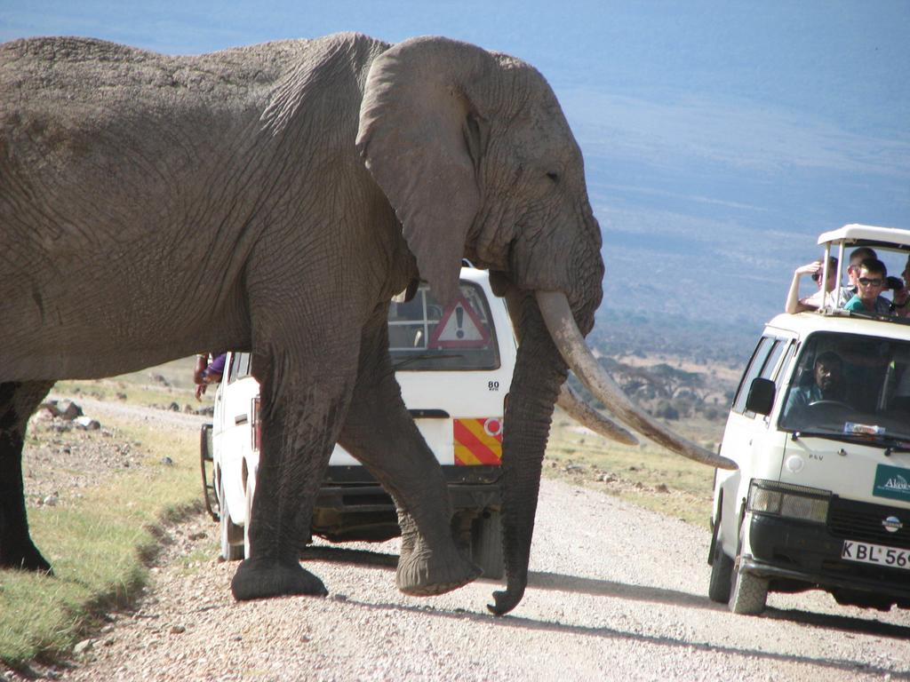 Hotel Maasai Simba Camp Amboseli Zewnętrze zdjęcie