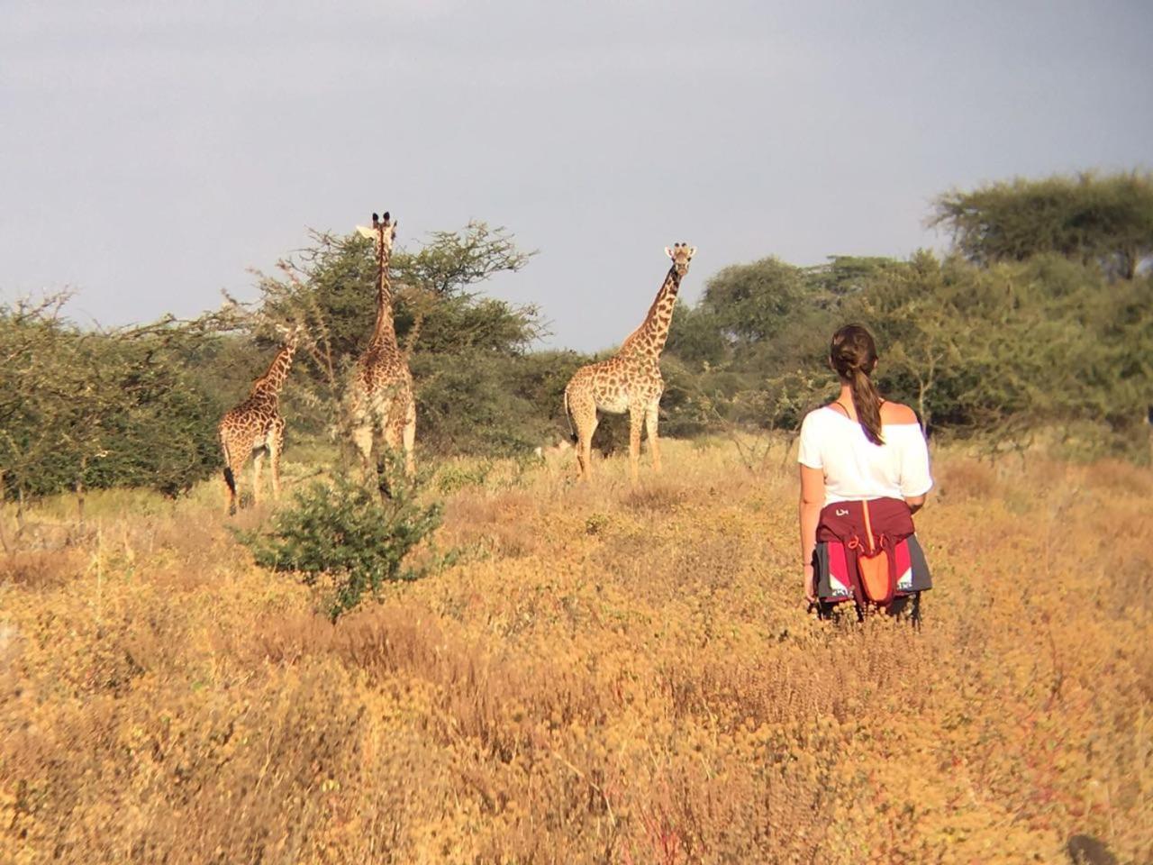 Hotel Maasai Simba Camp Amboseli Zewnętrze zdjęcie